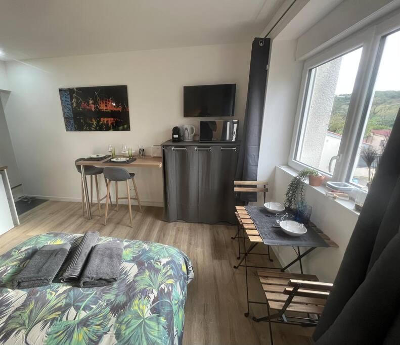 Verdi Studio Cosy Au Calme Parking Gratuit Chasse-sur-Rhône Exterior foto